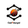 لوگوی پاسارگاد - فروش ذغال چوب