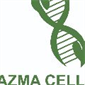لوگوی شرکت آزما سلول آریا - تولید تجهیزات آزمایشگاهی