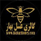 لوگوی شرکت شهدآوران دشت بهار - فروش عسل