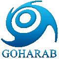 لوگوی شرکت گوهر آب رایان دیان - پمپ شناور