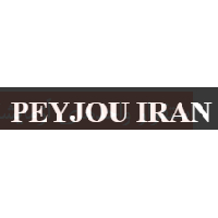 لوگوی شرکت پی جو ایران - زمین شناسی