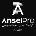 لوگوی آنسل پرو - چاپ دیجیتال