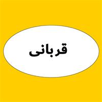 لوگوی قربانی - تعمیر کیلومتر شمار و آمپر خودرو