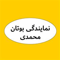 محمدی