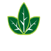 لوگوی شرکت رویش طبرستان - تولید گیاهان دارویی