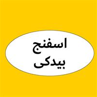 لوگوی بیدکی - فروش اسفنج و فوم