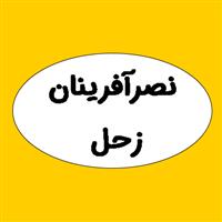 لوگوی شرکت نصر آفرینان زحل - پیمانکار معدن