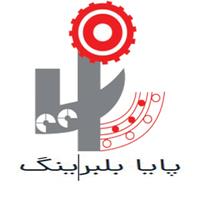 لوگوی پایا بلبرینگ - تولید بلبرینگ و کاسه نمد خودرو