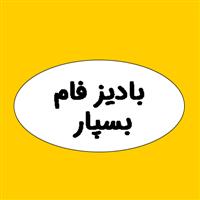 لوگوی شرکت بادیز فام بسپار - فروش رنگ پودری