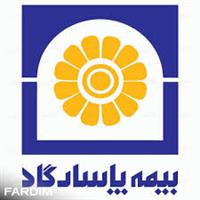 لوگوی بیمه پاسارگاد - هیرش ابراهیم زاده - کد 377 - نمایندگی بیمه