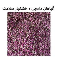 گیاهان دارویی و خشکبار سلامت