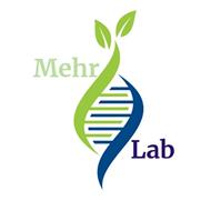 لوگوی آزمایشگاه مهر - گرگان - آزمایشگاه پاتوبیولوژی