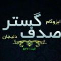 لوگوی شرکت صدف گستر دلیجان - عایق کاری