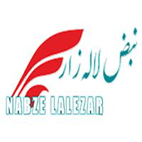 لوگوی نبض لاله زار - آژانس و شرکت تبلیغاتی