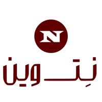 لوگوی نت وین - طراحی وب سایت