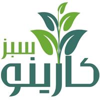 لوگوی شرکت کارینو سبز بام سازان - طراحی و اجرای دیوار سبز