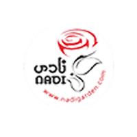 لوگوی نادی گاردن - طراحی و اجرای دیوار سبز