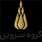 گروه مهندسی سروین