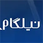 لوگوی گروه مهاجرتی نیلگام سفر - خدمات مهاجرت