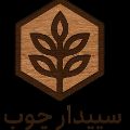 لوگوی سپیدار چوب - تولید و فروش صنایع چوبی