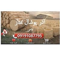 لوگوی آذر پوشال ممتاز - تولید پوشال