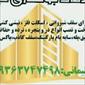 لوگوی جوشکاری سیار کرمان