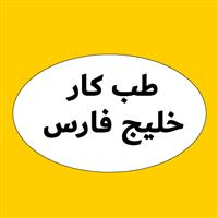 لوگوی مرکز تخصصی خلیج فارس - بهداشت حرفه ای و طب کار