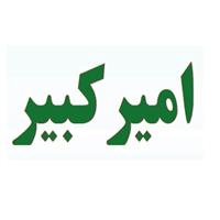 لوگوی آزمایشگاه امیرکبیر - اصفهان - آزمایشگاه تشخیص طبی