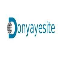 لوگوی دنیای سایت - طراحی وب سایت