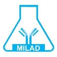 لوگوی آزمایشگاه میلاد - زنجان - آزمایشگاه تشخیص طبی