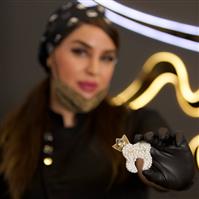 لوگوی دکتر پریسا دهقانی - دندانپزشک