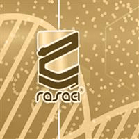 لوگوی شرکت مبتکران رسا طب ایرانیان - تولید تجهیزات پزشکی زیبایی و لاغری