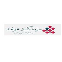 لوگوی سرمد گستر هوشمند - طراحی وب سایت