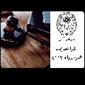 لوگوی نادیا محمدزاده - وکیل