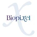 لوگوی بیوپیکسل - طراحی وب سایت