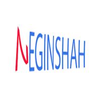 لوگوی فروشگاه نگین شاه - فروش بدلیجات