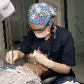 لوگوی دکتر ساناز صراف شمس - دندانپزشک