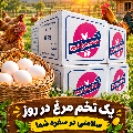 لوگوی پخش میلاد - پخش تخم مرغ