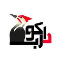 آژانس دیجیتال مارکتینگ دارکوب