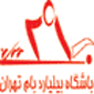 لوگوی بام تهران - باشگاه بیلیارد