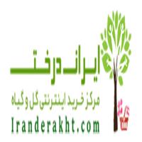 لوگوی ایران درخت - گلخانه و پرورش گل و گیاه