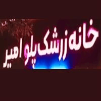 لوگوی خانه زرشک پلو امیر - رستوران