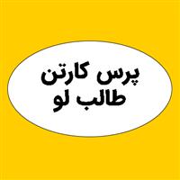 لوگوی پرس کارتن طالب لو - ضایعات کاغذ