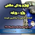 لوگوی صالحی - فروش لوازم یدکی خودرو