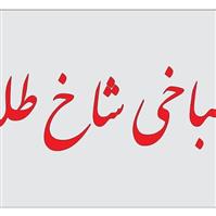 لوگوی طباخی شاخ طلا