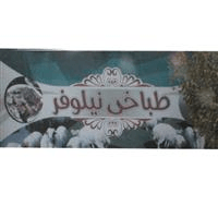 لوگوی طباخی نیلوفر