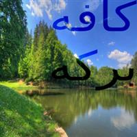 لوگوی کافه فست فود برکه - کافی شاپ