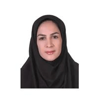 لوگوی صفیه صولت زاده - وکیل