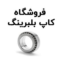 لوگوی فروشگاه کاپ بلبرینگ - فروش بلبرینگ و کاسه نمد خودرو