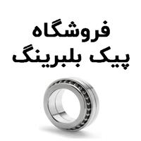 لوگوی فروشگاه پیک بلبرینگ - فروش بلبرینگ و کاسه نمد خودرو